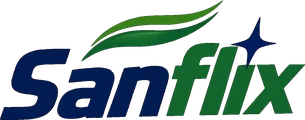 Sanflix home